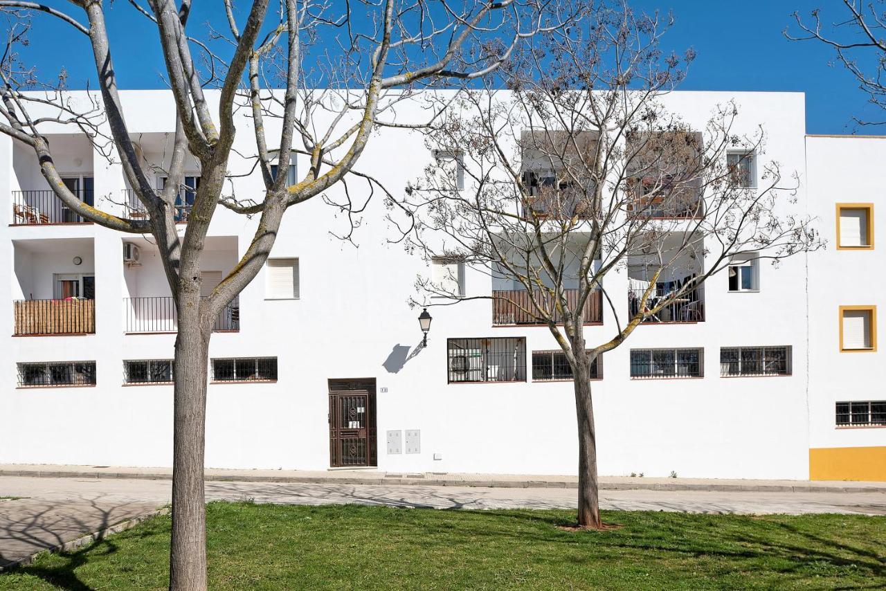 Apartment Casa Paloma *